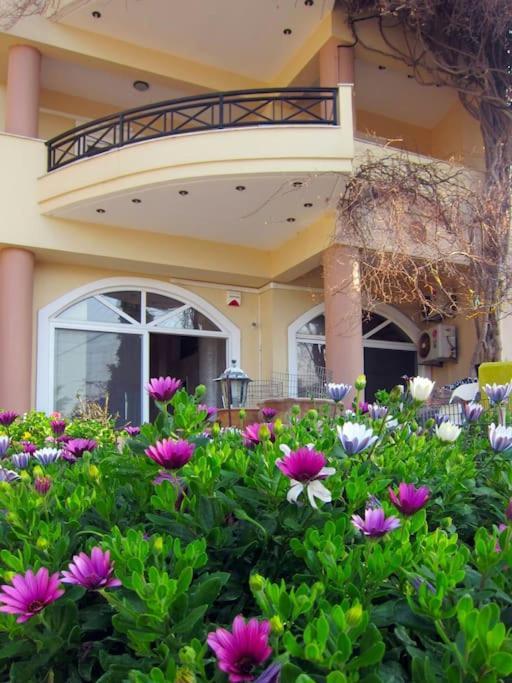 Lenico Beachfront Suites Agia Pelagia  Exterior foto