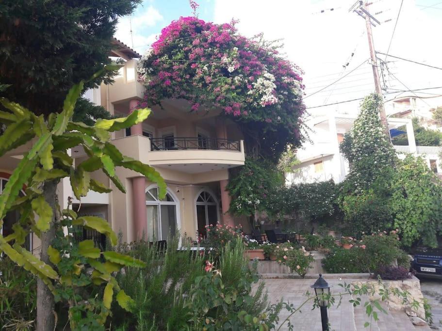 Lenico Beachfront Suites Agia Pelagia  Exterior foto